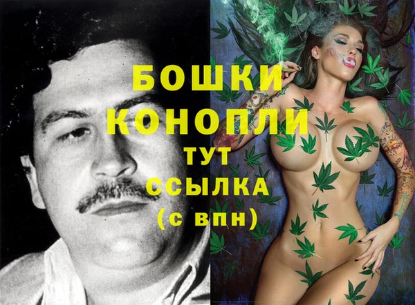 мяу мяу мука Кинешма
