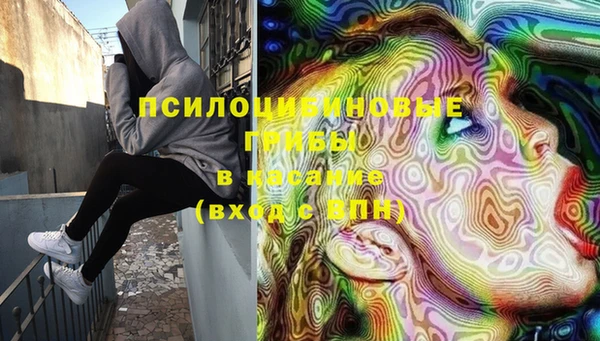 мяу мяу мука Кинешма